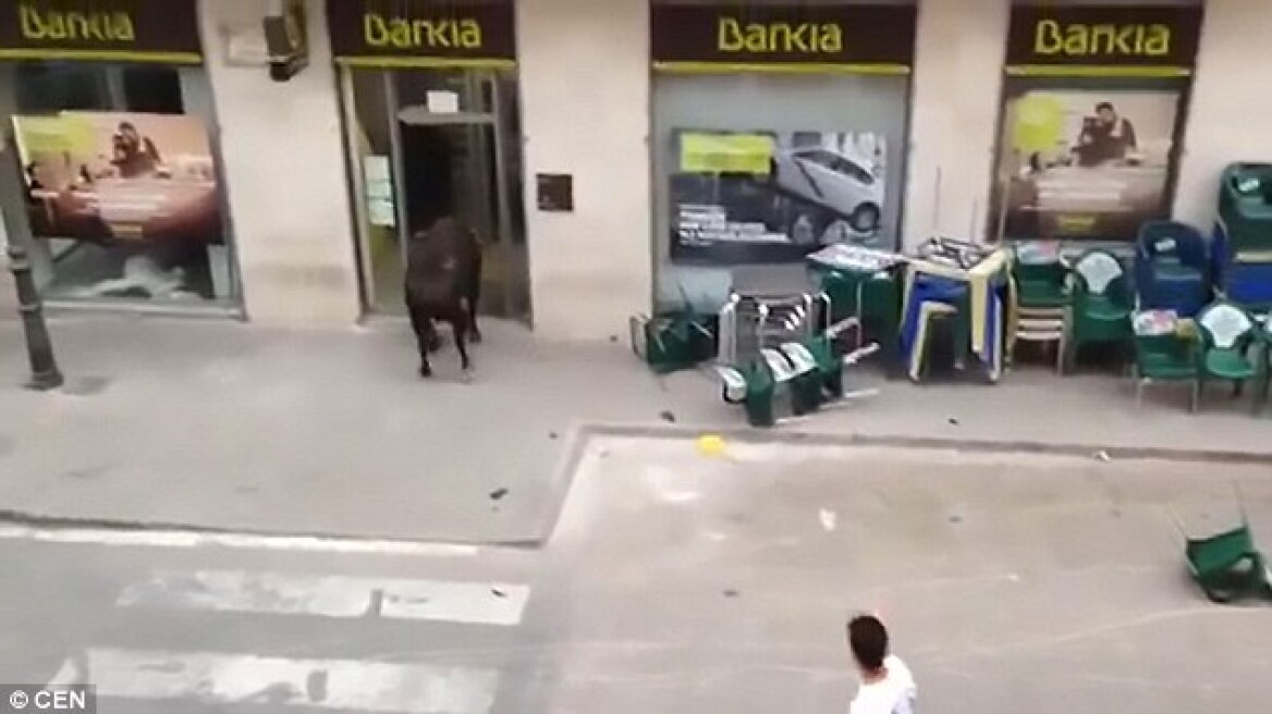 Βίντεο: Θηριώδης ταύρος μπήκε σε τράπεζα για... ανάληψη