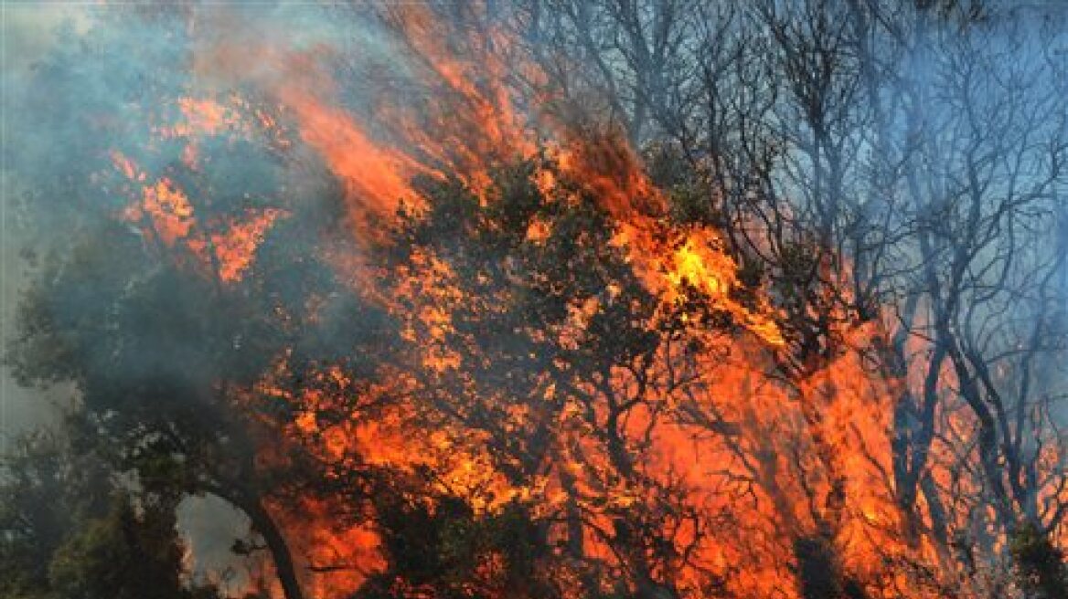 Υπό μερικό έλεγχο η πυρκαγιά στη Χαλκιδική