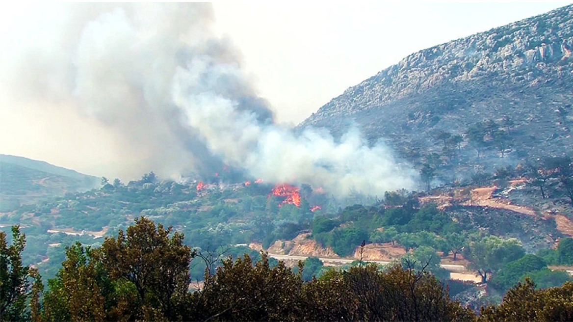 Φοβούνται τις αναζωπυρώσεις στη Χίο - Τεράστιες ζημιές στα μαστιχόδεντρα