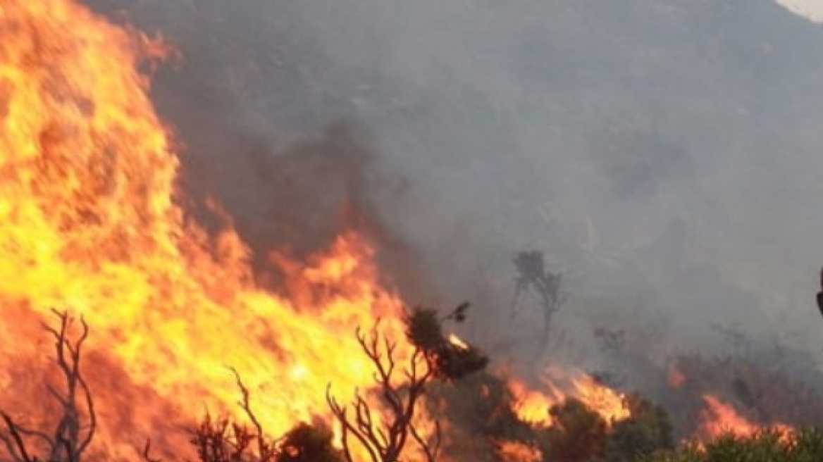 Σε ύφεση η πυρκαγιά στον Άγιο Νικόλαο Κρήτης: Κινδύνευσε ο οικισμός Μαρδάτι
