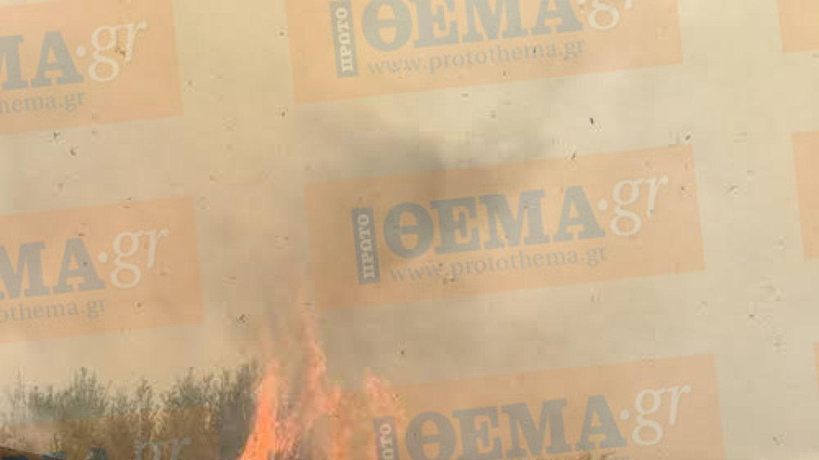 Σε ύφεση η πυρκαγιά στην Πλάκα Κερατέας - Δείτε φωτογραφίες