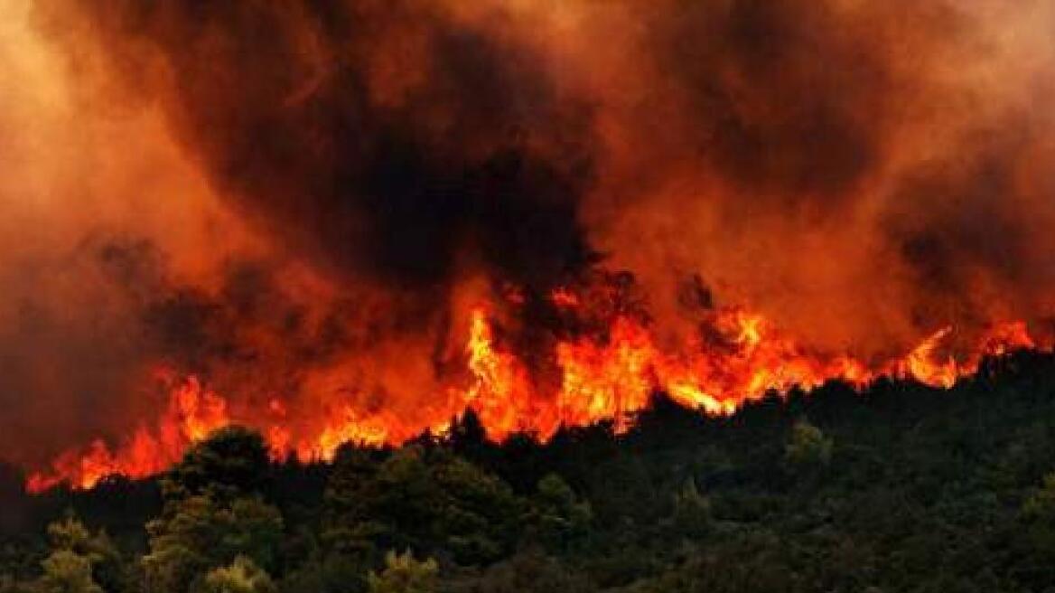 Βόρεια Εύβοια: Η πυροσβεστική διαψεύδει τον Αποστόλου ότι η φωτιά έχει τεθεί υπό έλεγχο