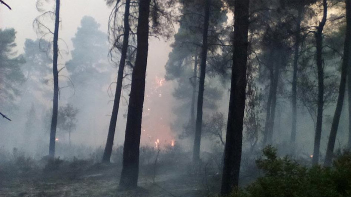 Τεράστια οικολογική καταστροφή σε Εύβοια και Ρέθυμνο από τις πυρκαγιές