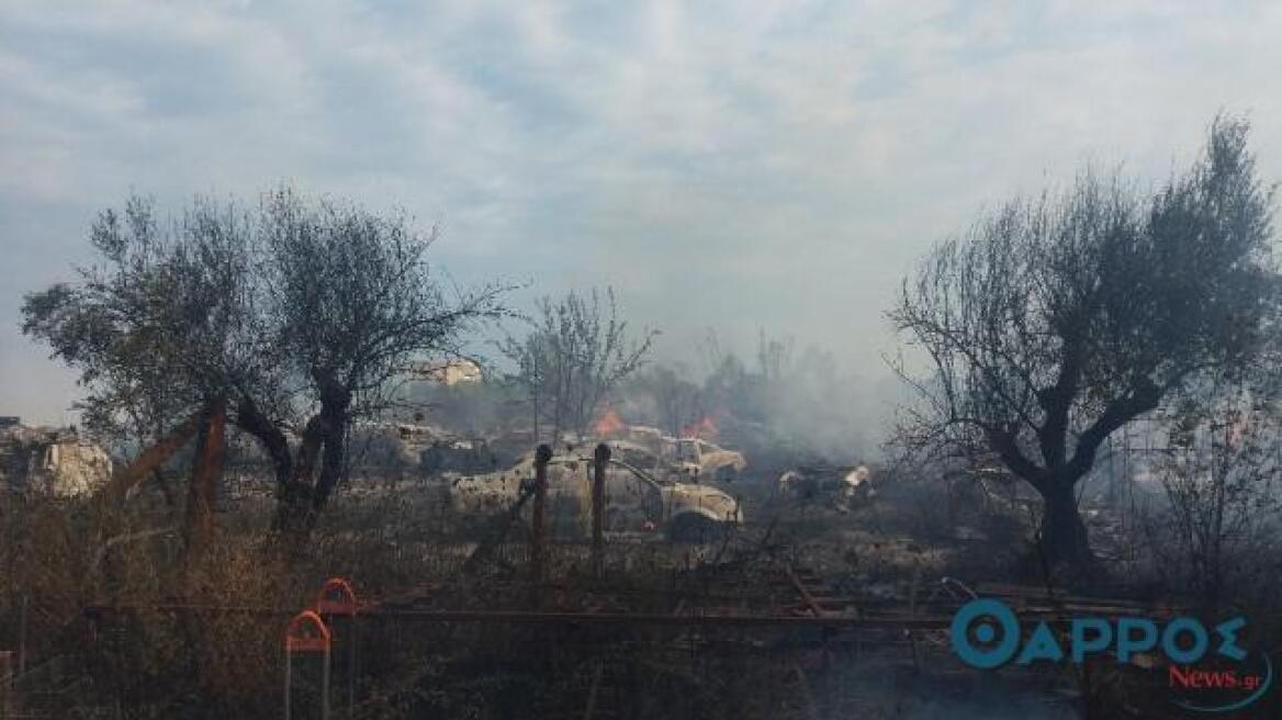Φωτιά έκαψε 50 αυτοκίνητα σε μάντρα στην Καλαμάτα