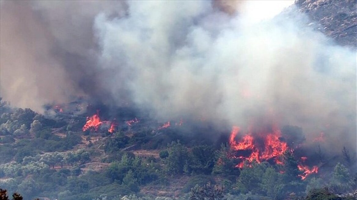 Πολύ υψηλός κίνδυνος πυρκαγιάς σε Αχαΐα, Μεσσηνία, Κεντρική Μακεδονία και νησιά Ιονίου  