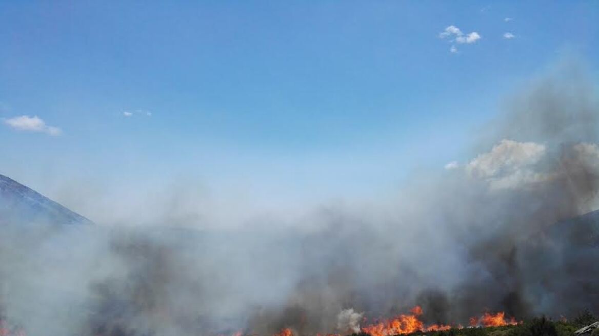 Πυρκαγιά στην Κάρυστο Ευβοίας - Μάχη με τις φλόγες και τους δυνατούς ανέμους