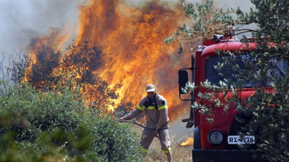 Πυρκαγιές σε Ρέθυμνο, Άρτα, Λακωνία, Νέα Μάκρη, Μέγαρα και Κέα