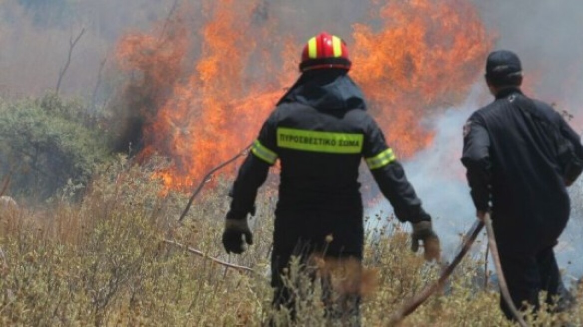 Νεκρός πυροσβέστης στη φωτιά στο Παρόριo Βοιωτίας