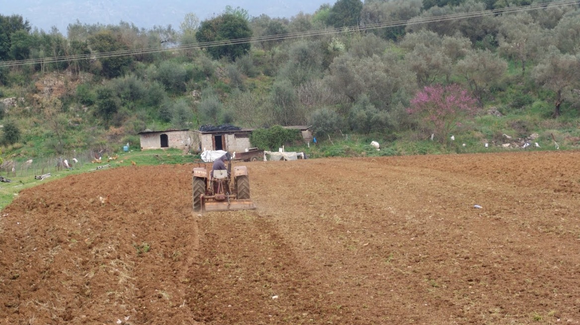 Τριπλή φορολογική παγίδα για 575.000 με αγροτικά εισοδήματα