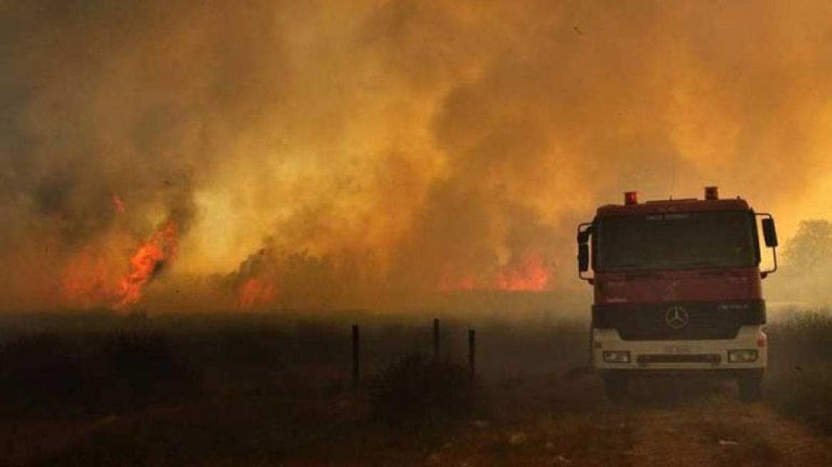 Κρήτη: Ολονύχτια μάχη με τη φωτιά έδωσαν οι πυροσβέστες κοντά στο Ελαφονήσι