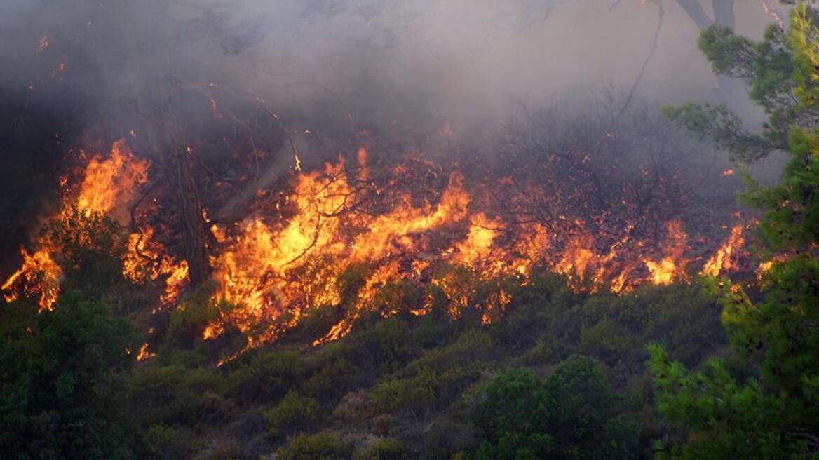 Πυρκαγιά στο Κουτσοχέρι Αιτωλοακαρνανίας