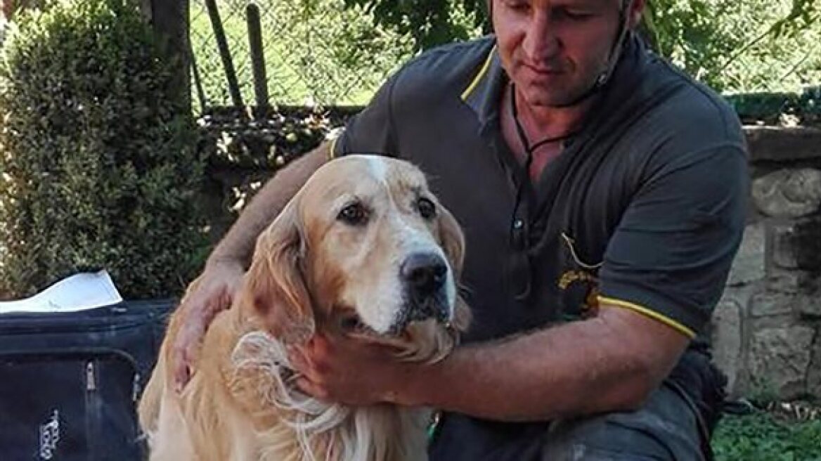 Σεισμός στην Ιταλία: Ο σκύλος που έζησε επί 9 ημέρες εγκλωβισμένος στα χαλάσματα