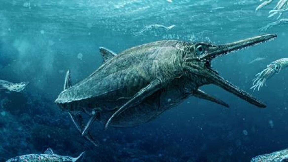 Η πραγματική Νέσι; Σε κοινή θέα ο σκελετός θαλάσσιου τέρατος 170 εκατ. ετών που βρέθηκε στη Σκωτία