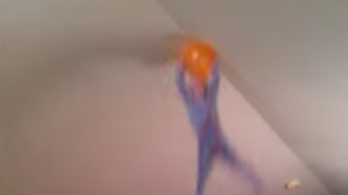 Βίντεο... που δεν υπάρχει: Πατέρας πετάει στο... ταβάνι το παιδί για να πιάσει ένα... μπαλόνι!