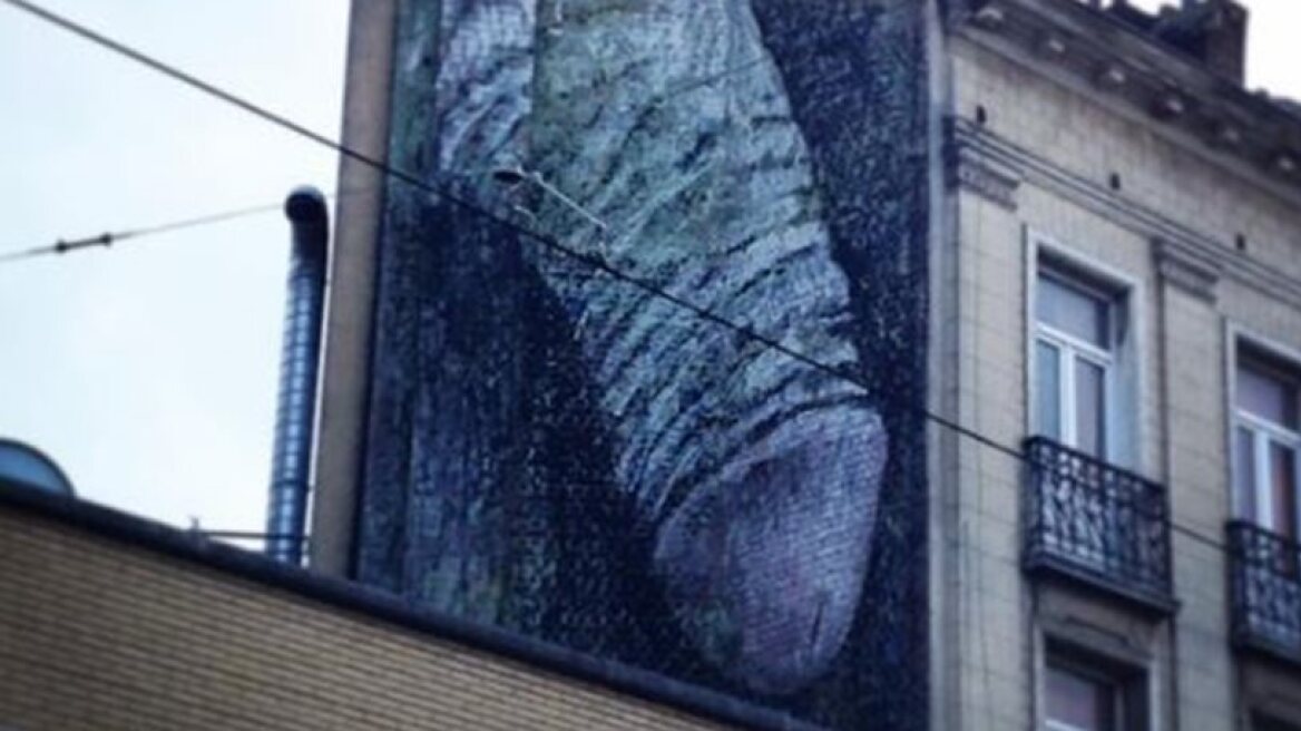  Giant penises appear on Brussels’ walls