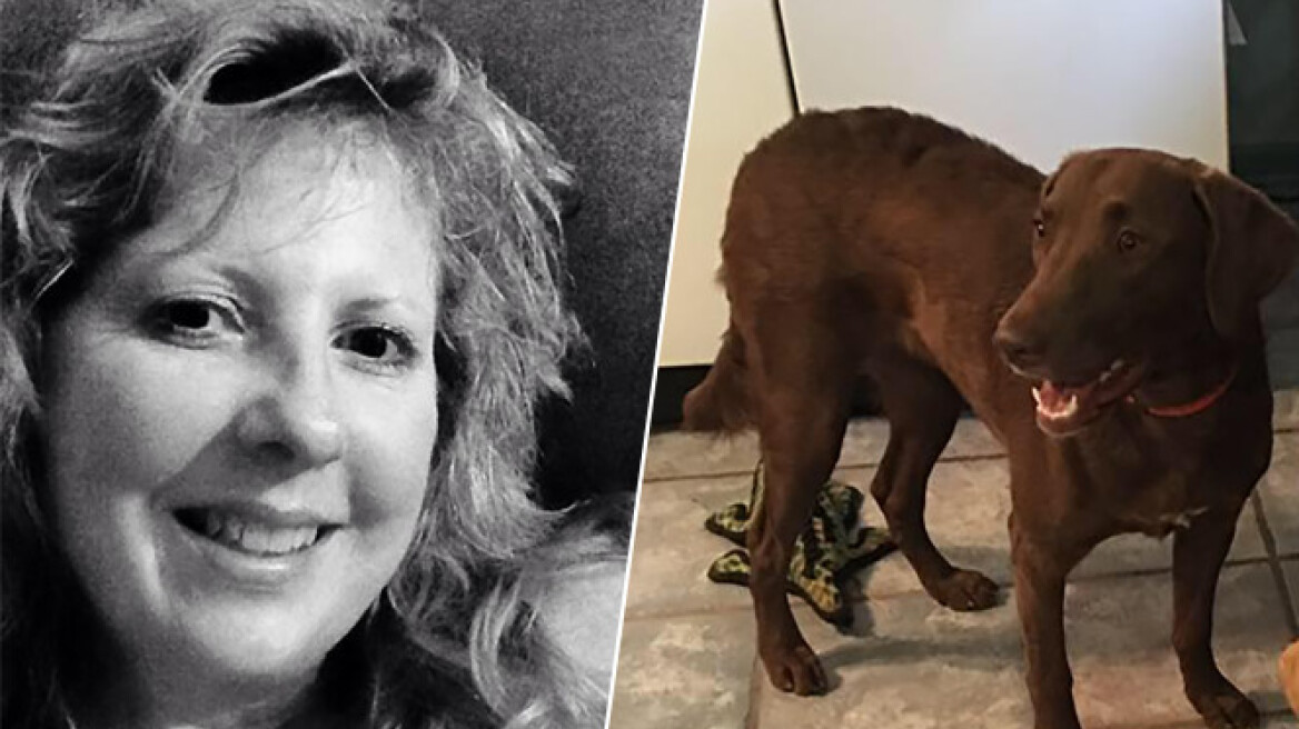 Αλλόκοτο ατύχημα στις ΗΠΑ: Σκύλος μαχαίρωσε την ιδιοκτήτριά του