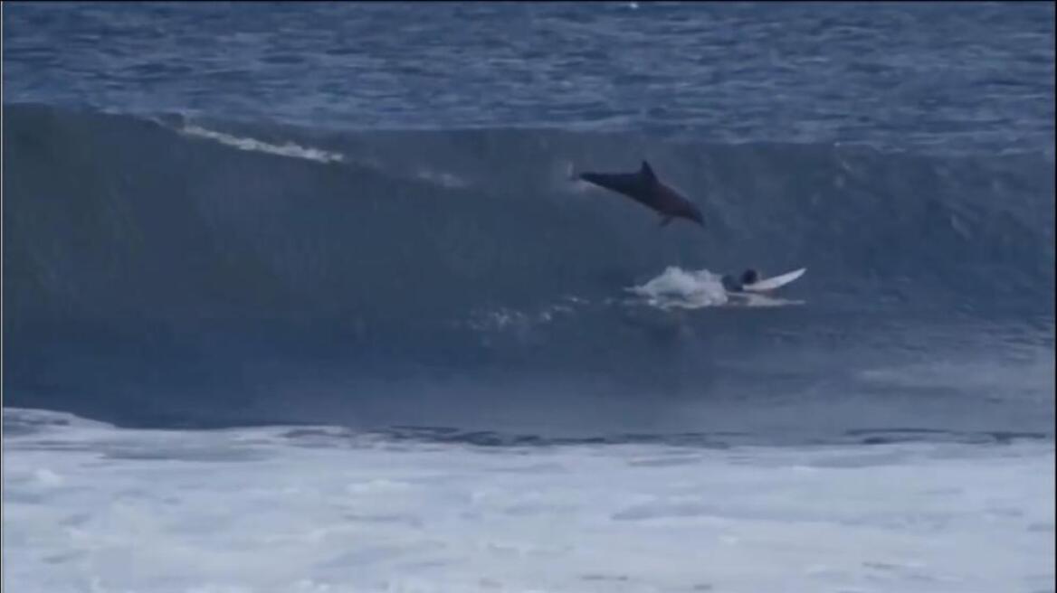 Βίντεο: Δελφίνι πέφτει πάνω σε σέρφερ σκίζοντας ένα τεράστιο κύμα