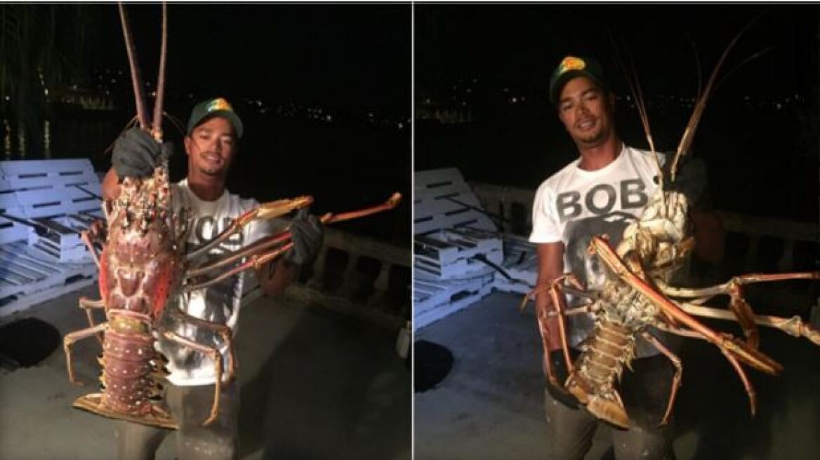 Φωτογραφίες: Ψαράς έβγαλε αστακό ενός μέτρου