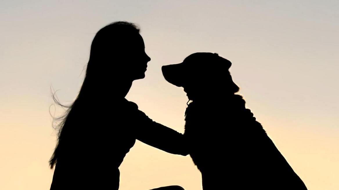 Ισπανία: Στέλνουν σκύλους-προστάτες σε θύματα ενδοοικογενειακής βίας 