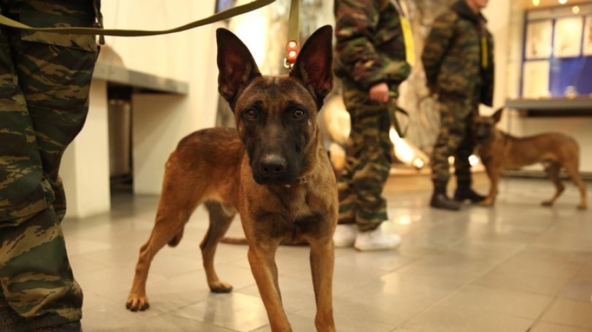 Ο στρατός από κλωνοποιημένα σκυλιά του Vladimir Putin