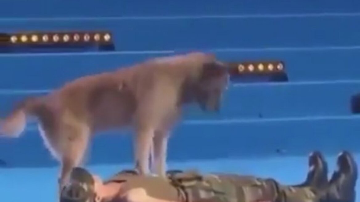 Αξιαγάπητο σκυλάκι κάνει μαλάξεις για να σώσει την αφεντικίνα του (vid)