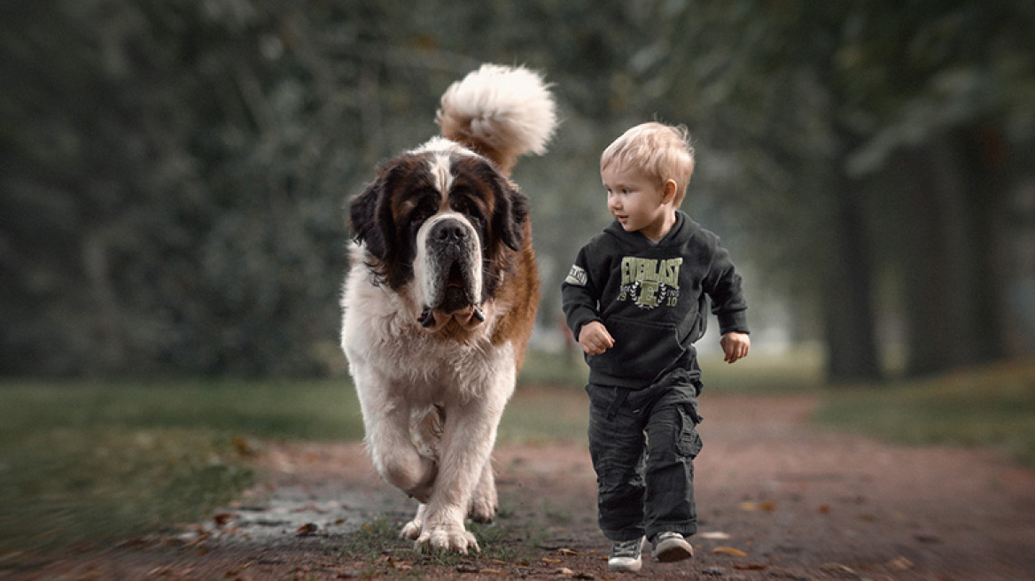 Μικρά παιδιά και μεγάλοι σκύλοι