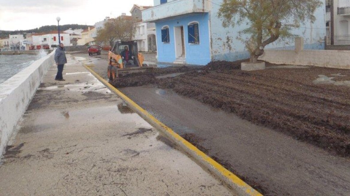 Γέμισαν με... φύκια οι δρόμοι στα Καρδάμυλα της Χίου