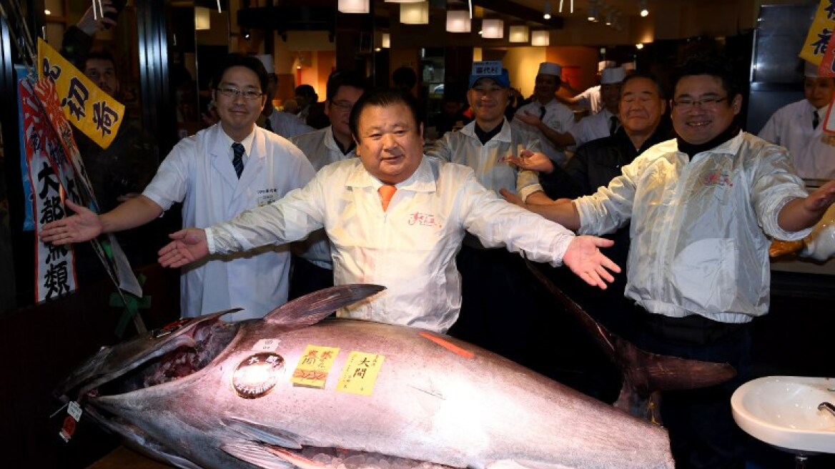 Βίντεο: Δείτε τo ψάρι «Γολιάθ» που αγόρασε εστιάτορας έναντι... 600.000 ευρώ!