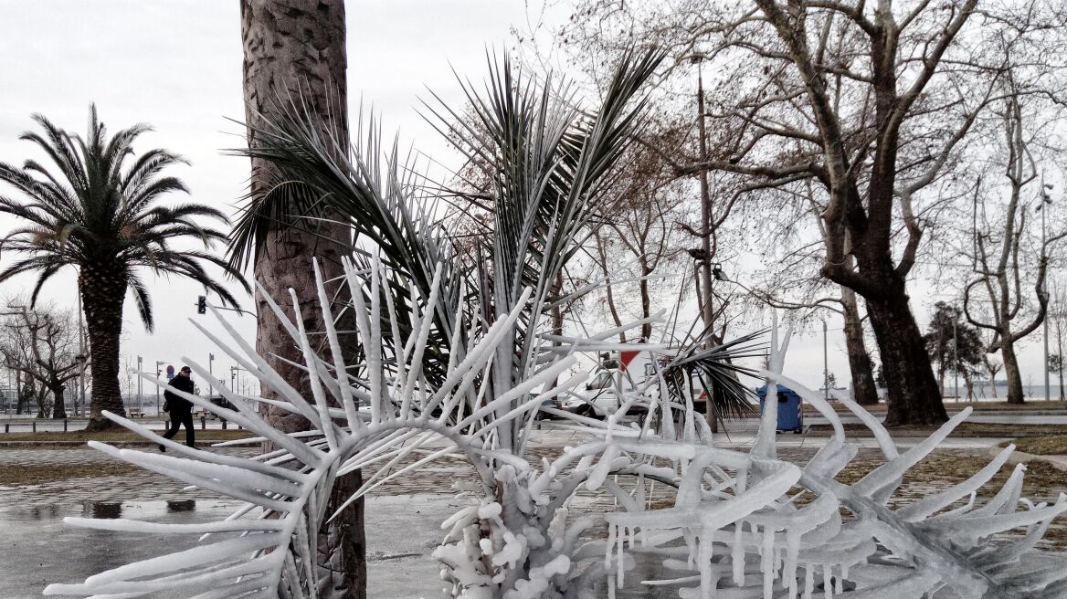 Φωτογραφίες: Έγινε «γλυπτό πάγου» από τον χιονιά πάρκο στη Θεσσαλονίκη