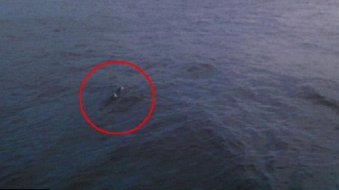 New photos from Loch Ness revives the mystery
