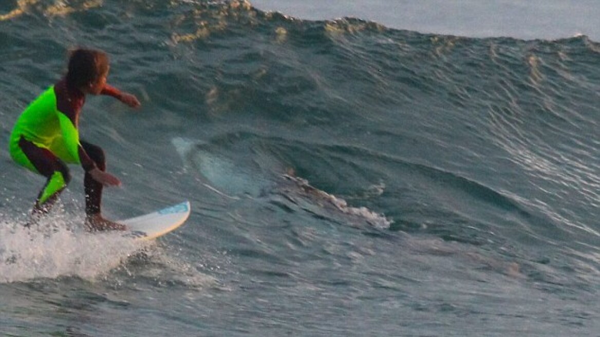 Τρόμος: Πατέρας βλέπει το παιδί του να κάνει σέρφινγκ δίπλα σε λευκό καρχαρία