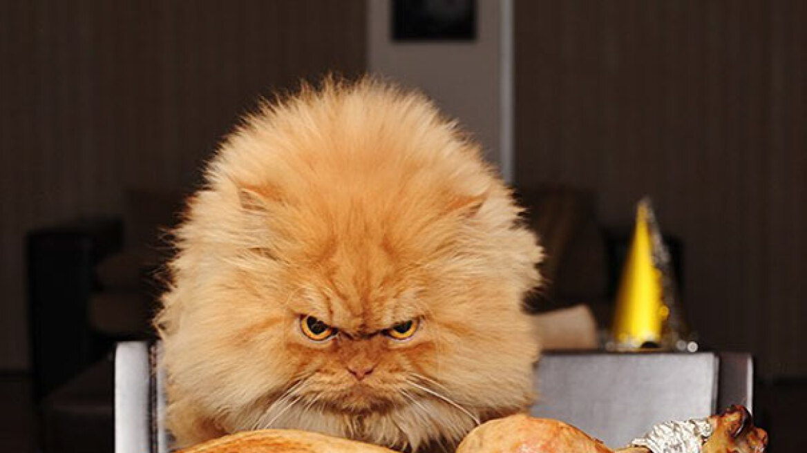 Ξεκαρδιστικές φωτογραφίες: Δέκα θυμωμένα ζώα που δε θα θέλατε με τίποτα να συναναστραφείτε