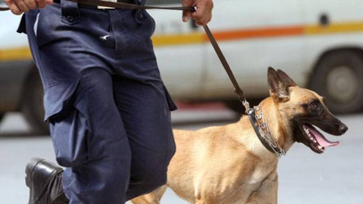 Κρήτη: Αστυνομικός σκύλος εντόπισε χασίς σε δέμα