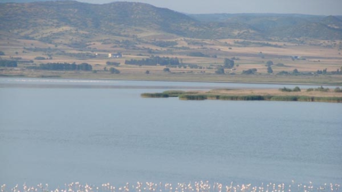 Ενισχύει τα μέτρα βιοασφάλειας η Περιφέρεια Κεντρικής Μακεδονίας για τη γρίπη των πτηνών