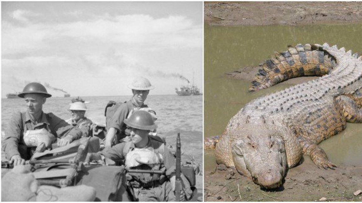 An army of 1000 Japanese soldiers was decimated by crocodiles during the Battle of Ramree island of WWII