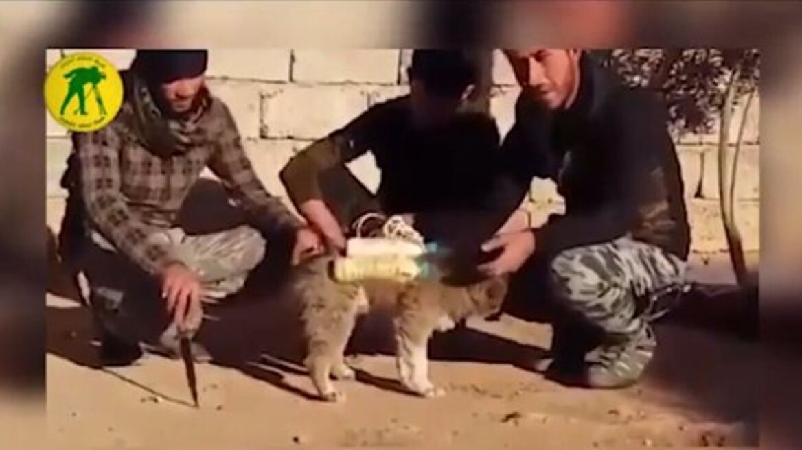 SHOCKING: Jihadists use dogs for “suicide” attacks!