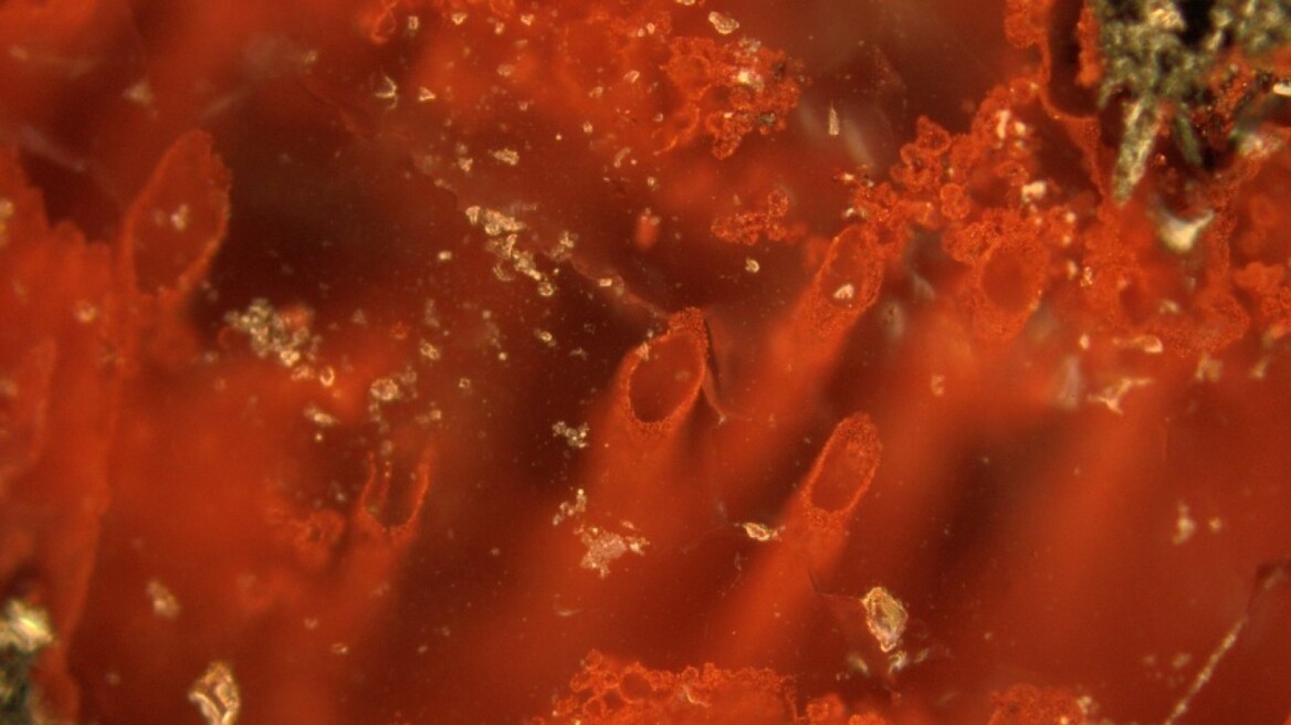 Newfound 3.77-billion-year-old fossils could be earliest evidence of life on Earth!