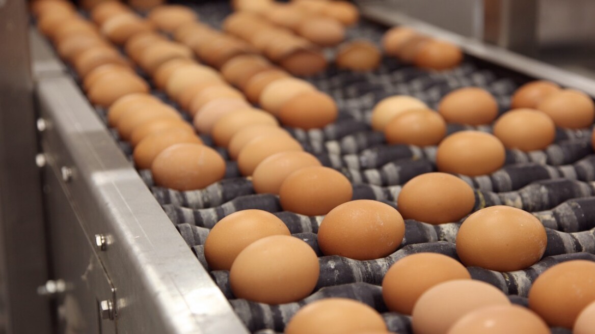 Κατασχέθηκαν 900.000 αυγά χωρίς προβλεπόμενη σήμανση 