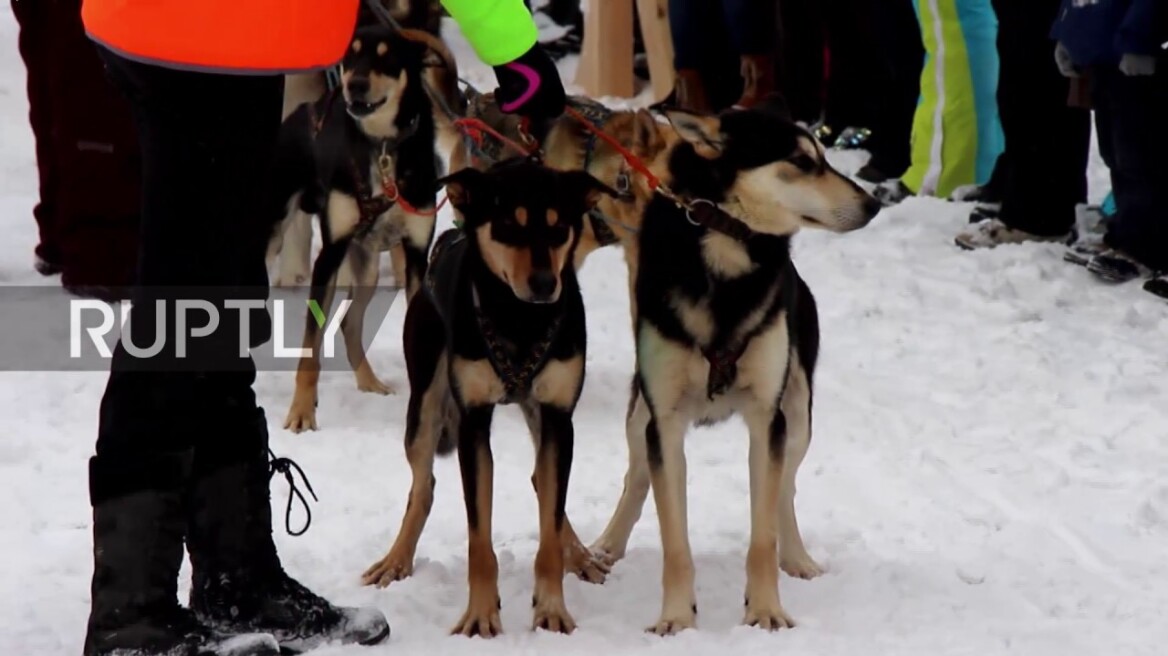 Βίντεο: Ελκηθροδρομίες με σκυλιά σε παγωμένη λίμνη της Σιβηρίας