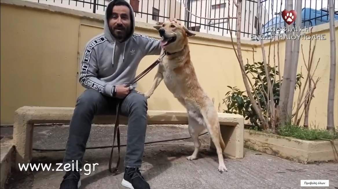 Βίντεο: Ο Γιώργος Μαυρίδης και ο τρίποδος σκυλάκος, ο Σώτος!