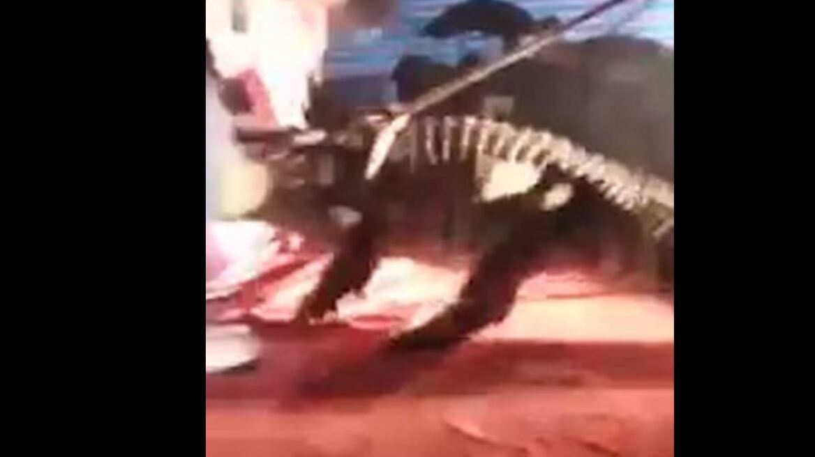 Σοκαριστικό βίντεο: Κροκόδειλος αρπάζει από το κεφάλι άνδρα σε τσίρκο