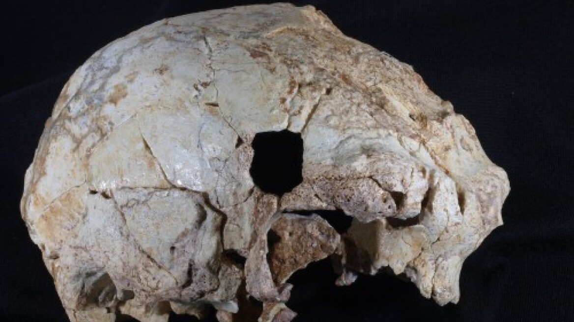 Ανακαλύφθηκε στην Πορτογαλία προανθρώπινο κρανίο 400.000 ετών