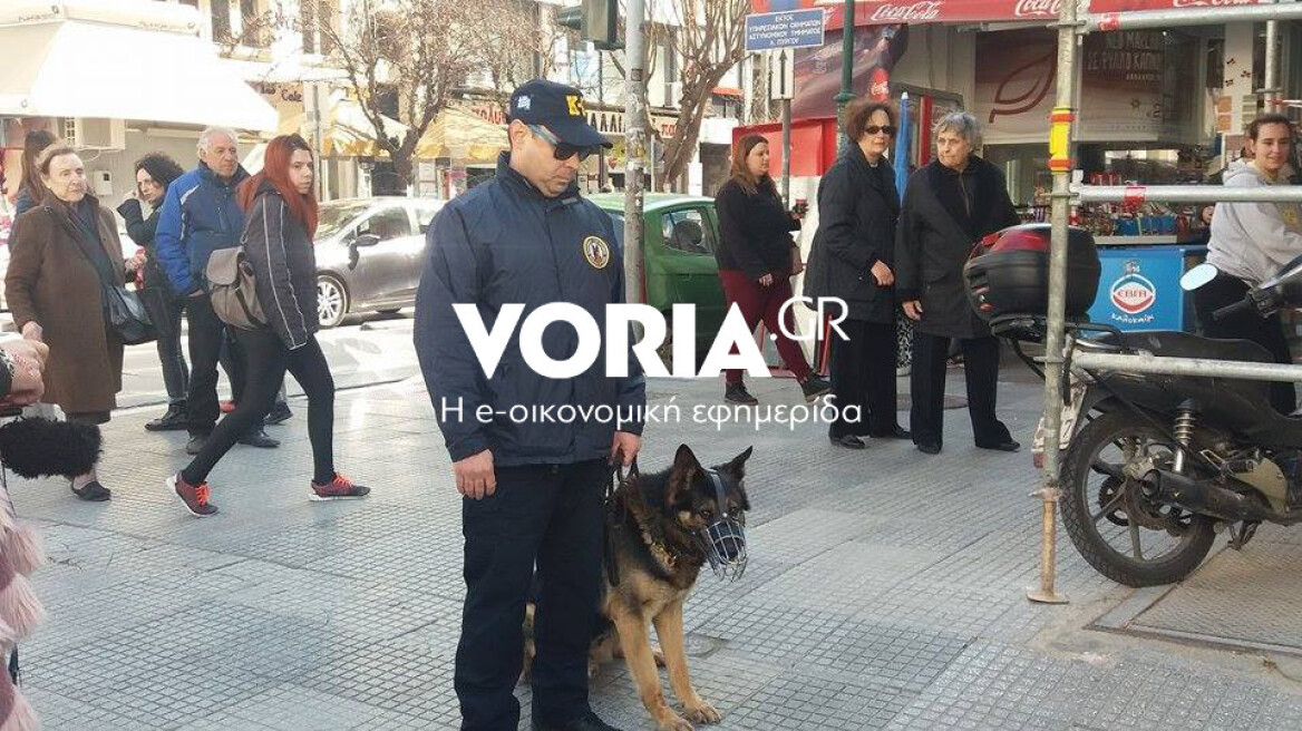 Βίντεο: Σκύλοι «ντετέκτιβ» στους δρόμους της Θεσσαλονίκης