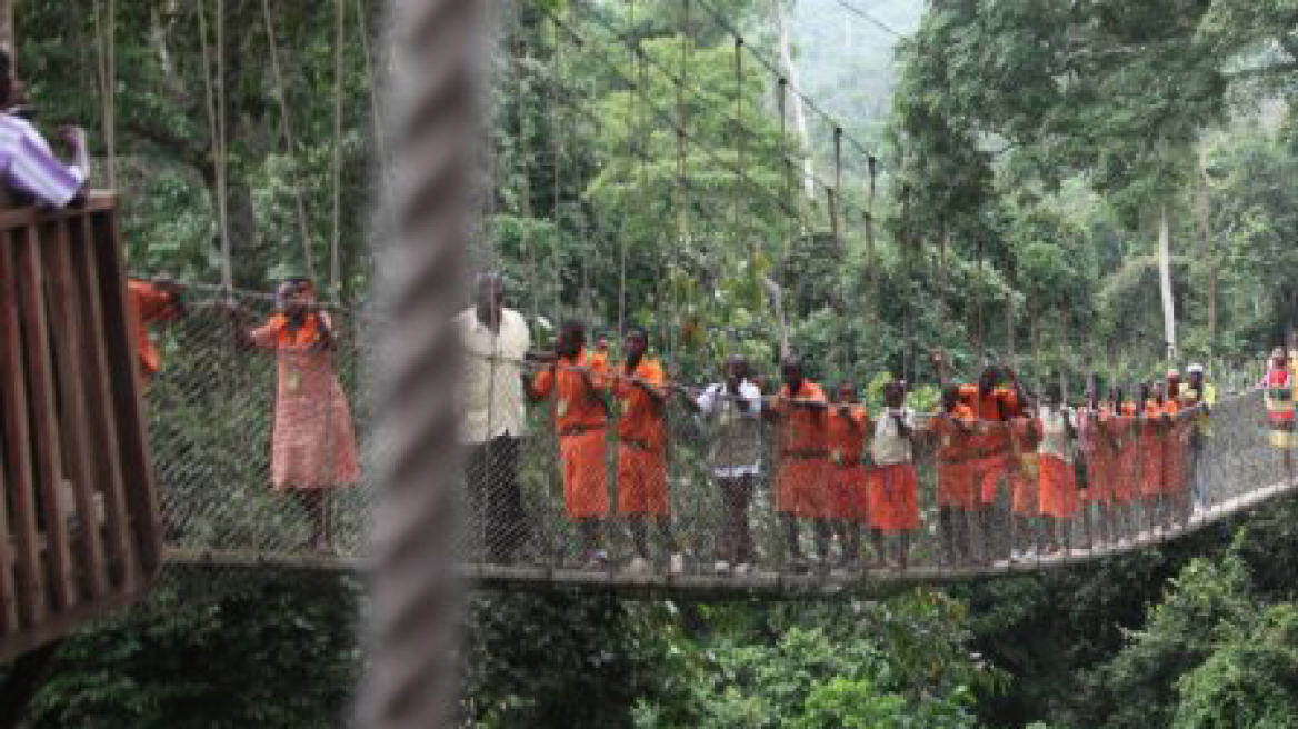 Δέντρο καταπλάκωσε 18 ανθρώπους κοντά σε καταρράκτη στη Γκάνα  