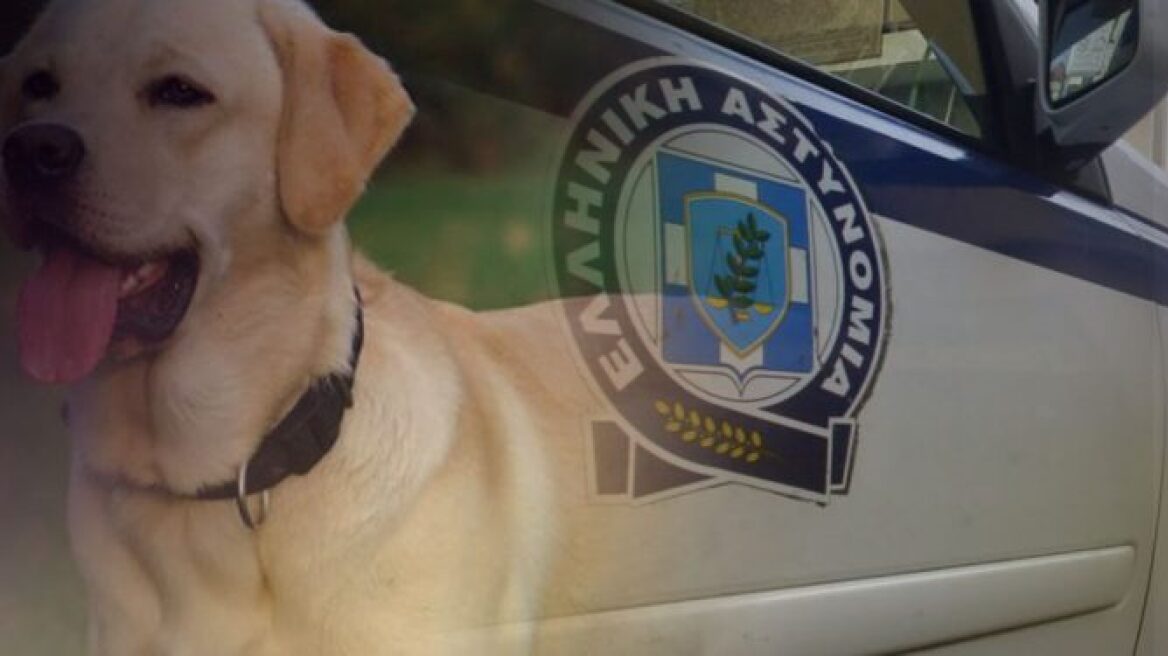 Η ώρα της δικαιοσύνης για τον αστυνομικό που πυροβόλησε σκυλί στον Άγιο Νικόλαο