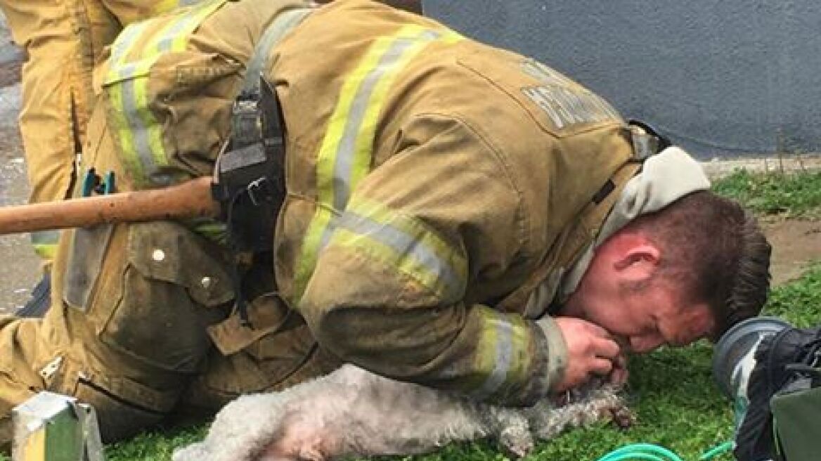 Καλιφόρνια: Πυροσβέστες έκαναν τεχνητή αναπνοή σε σκυλάκι επί 20 λεπτά