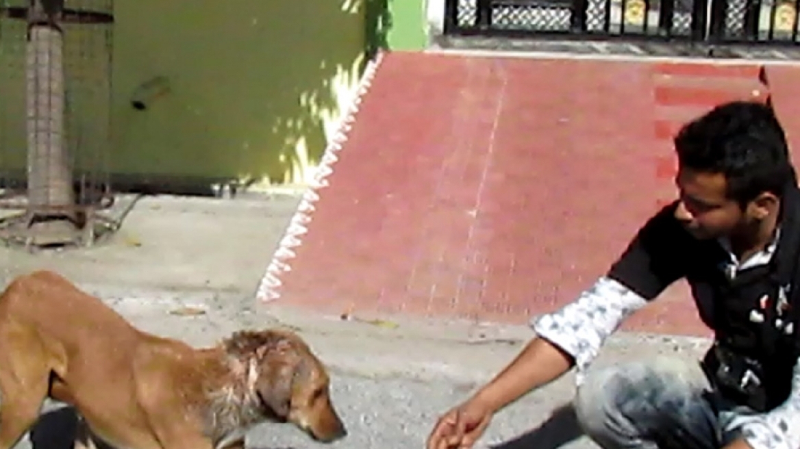 Βίντεο: Η απίστευτη αλλαγή ενός σκύλου που διασώθηκε στην Ινδία!