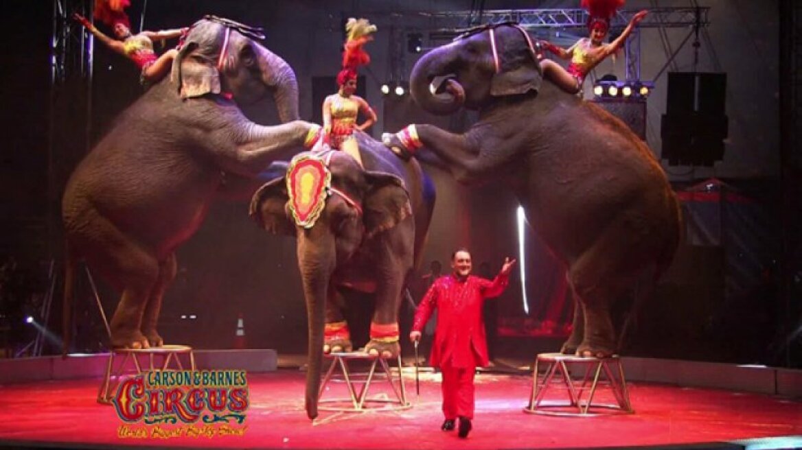 Έτσι μεταχειρίζεται το τσίρκο τους ελέφαντες (vid)