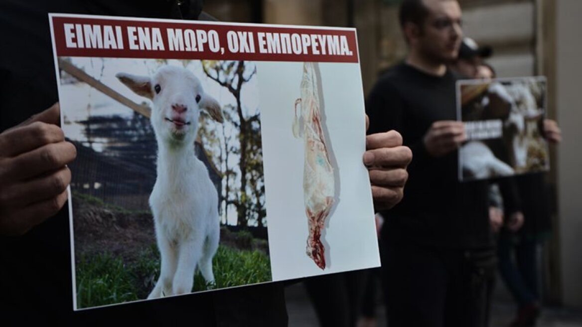 Vegans protest in Athens against Easter spit-roasted lamb tradition (photos)