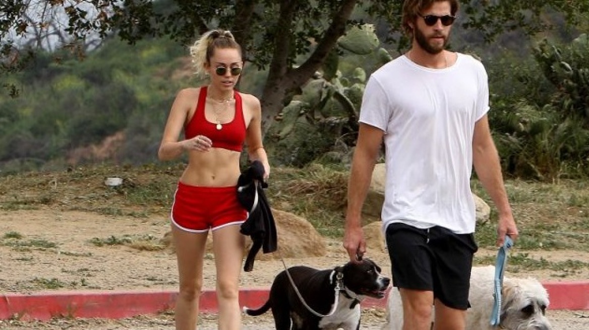 Miley Cyrus bares abs while walking dogs (photo)